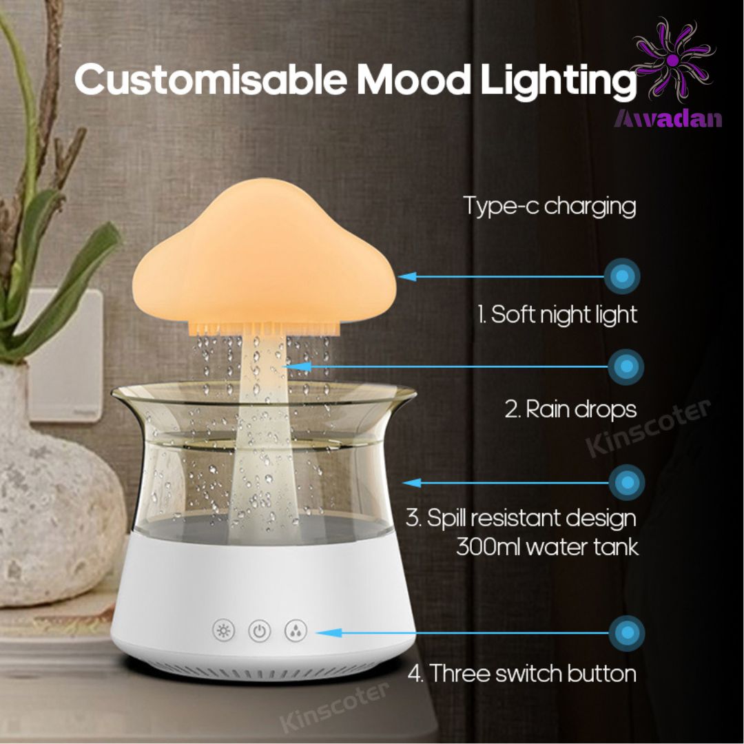 Aromatic Rain Humidifier